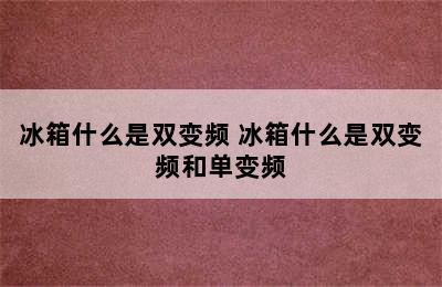 冰箱什么是双变频 冰箱什么是双变频和单变频